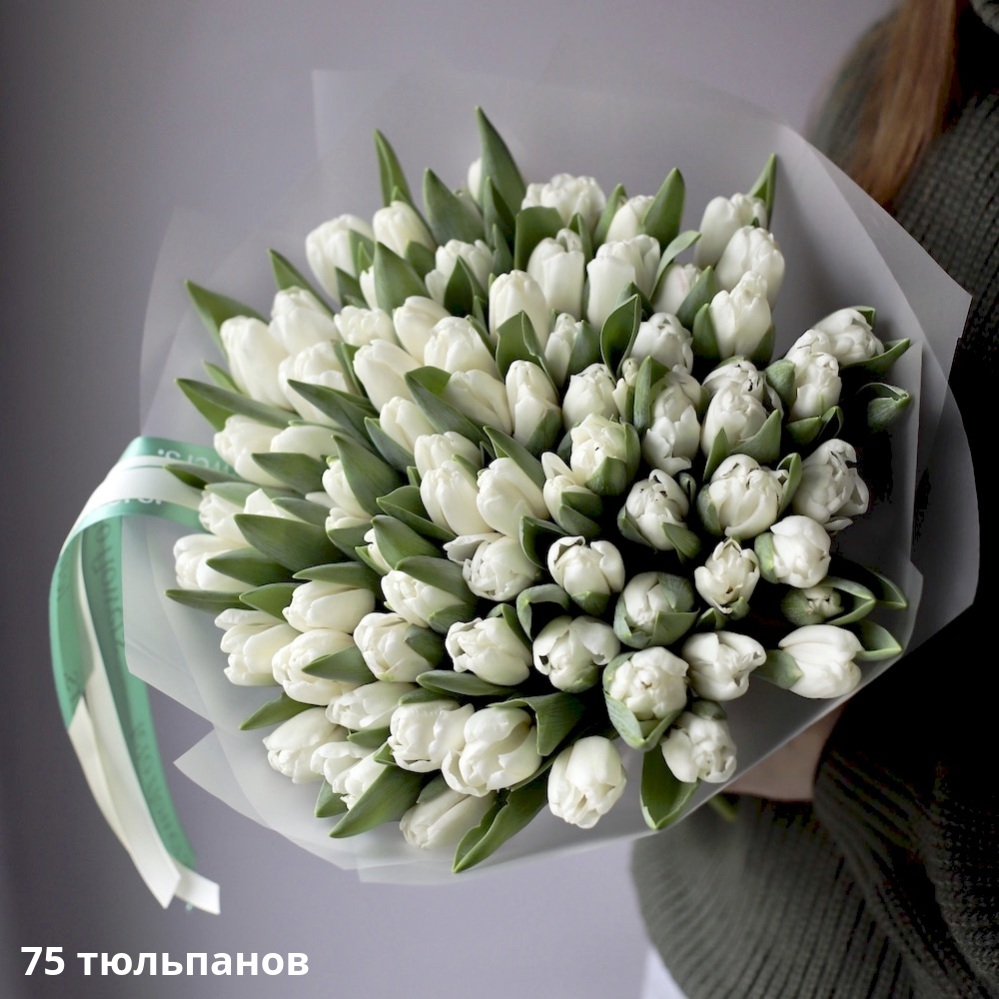 Белые тюльпаны