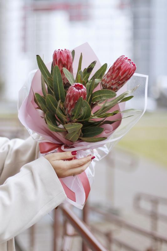 Экзотическая протея