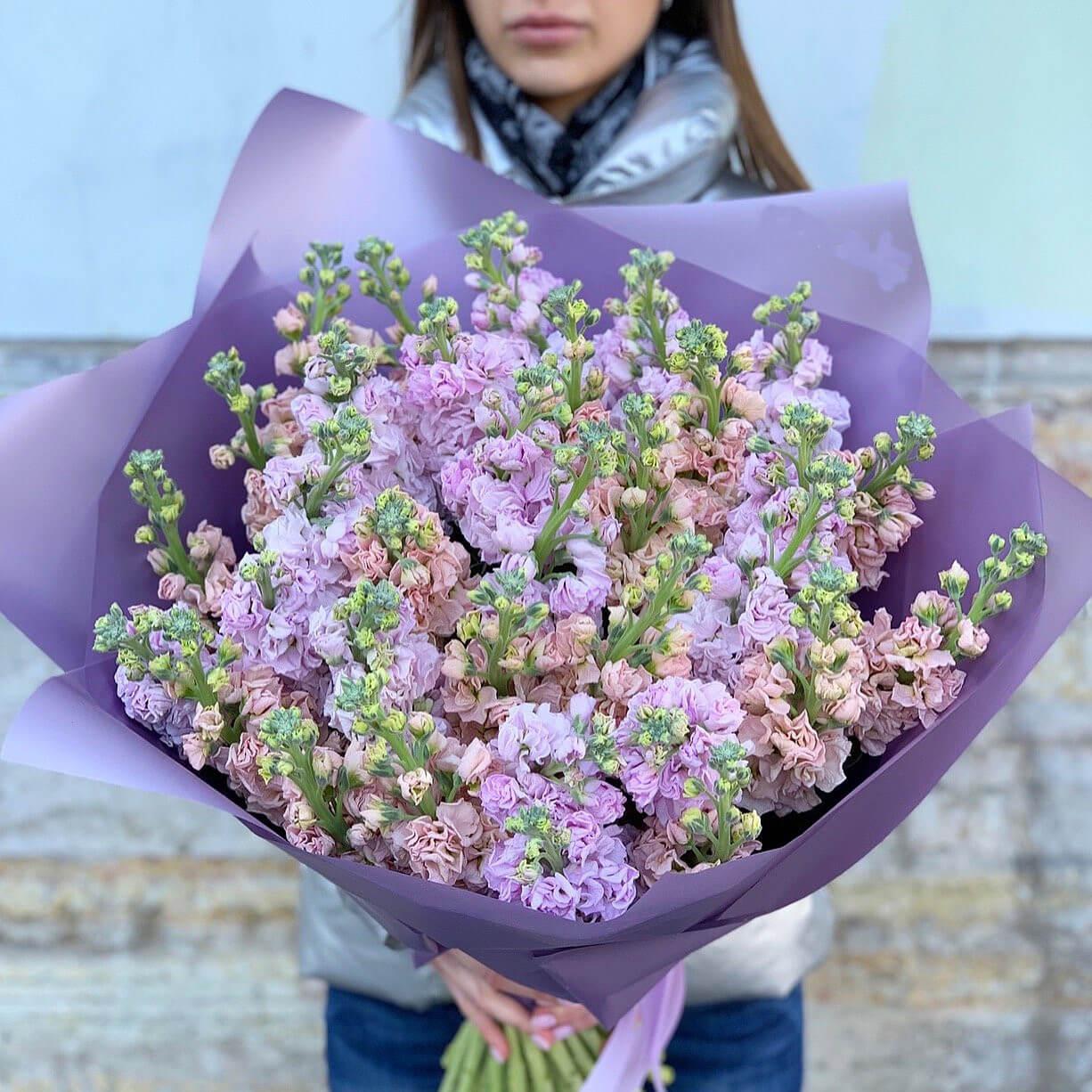 Фиолетовая маттиола