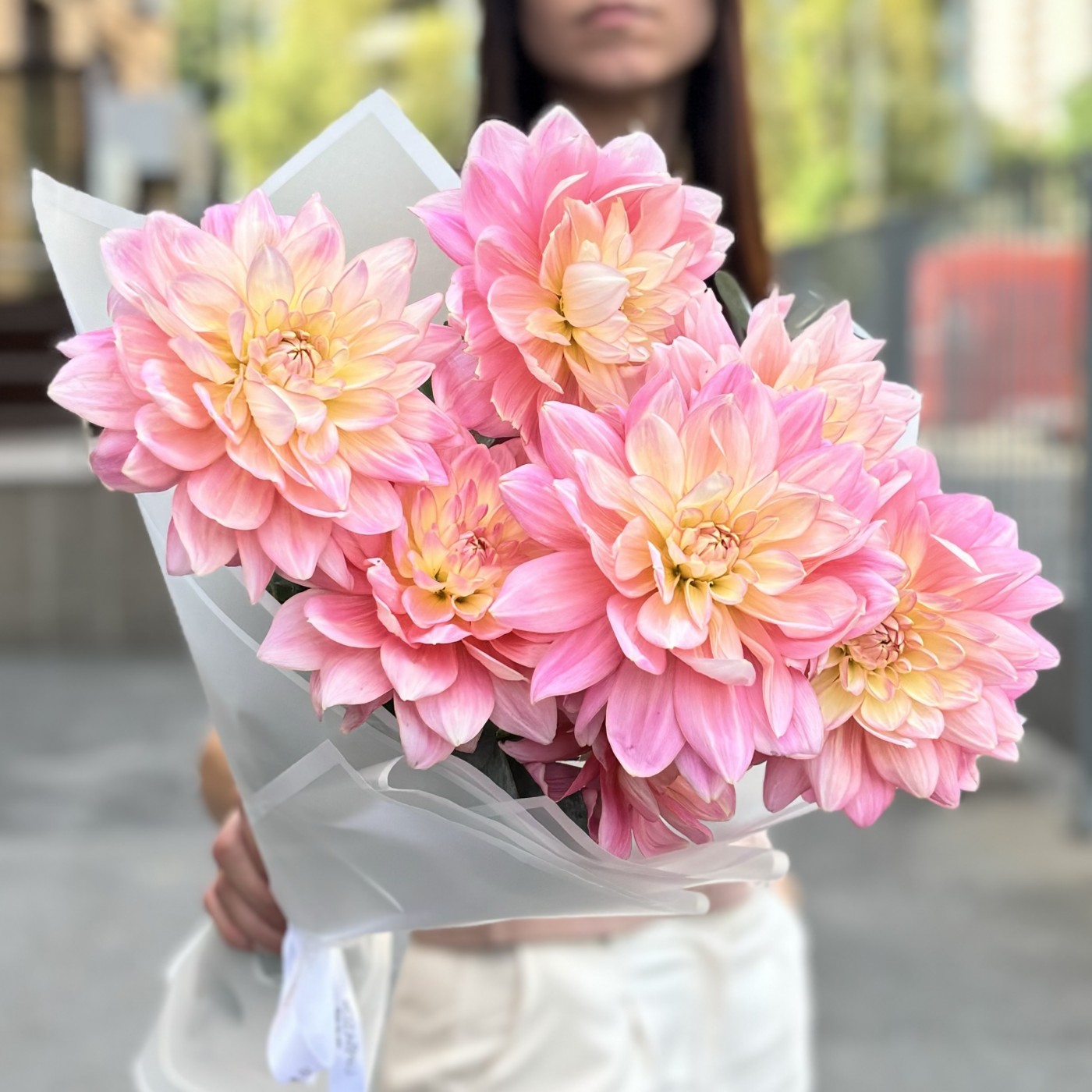 Георгины Диана