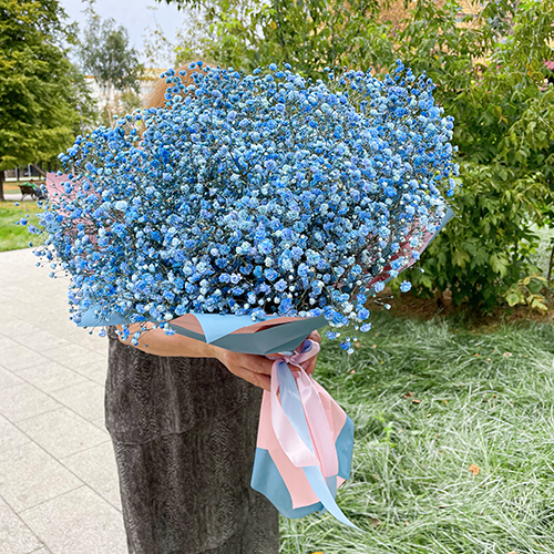 Облако из гипсофилы