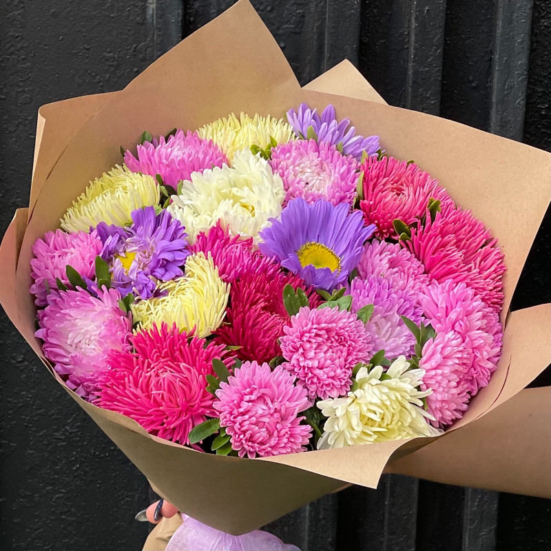 Разноцветные астры