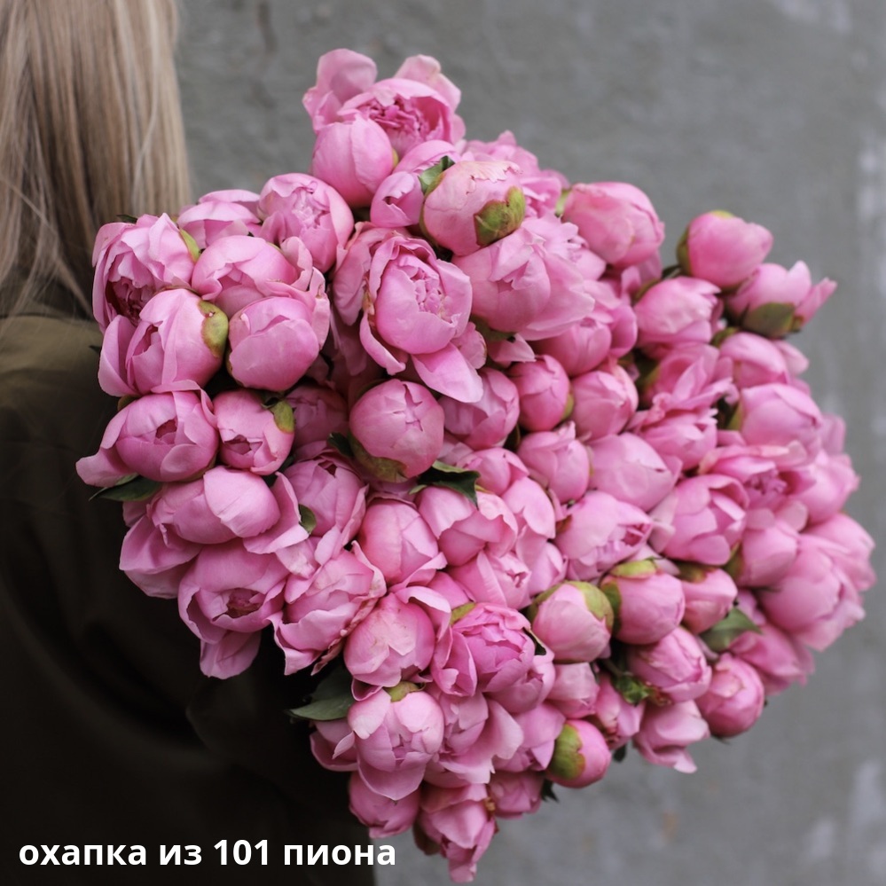 Розовые пионы