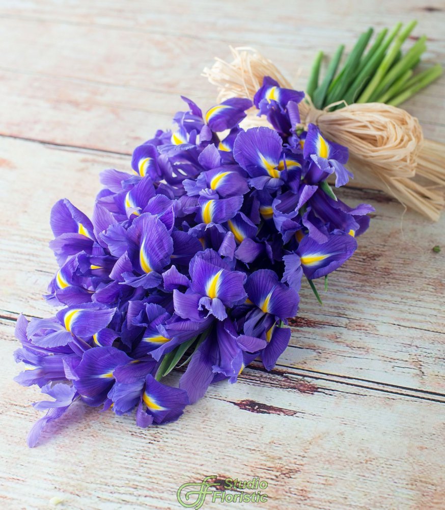 Синие ирисы